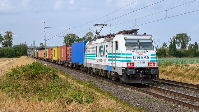 Bornheim Lineas 186 258 containers