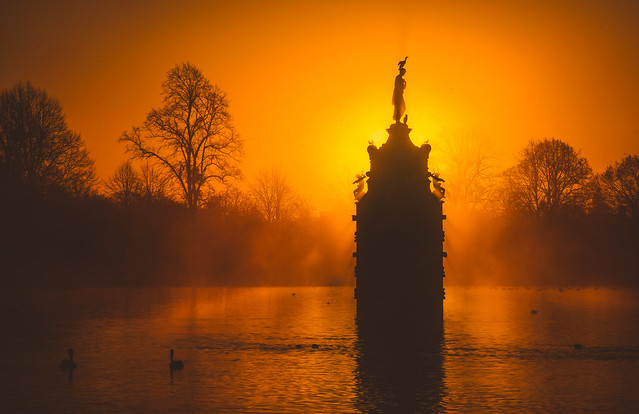Dawn in Bushy Park, London 夜明けのブッシー公園、ロンドン