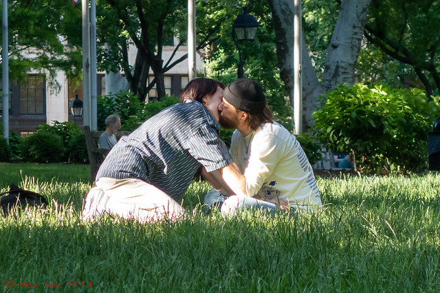 Love in the Park - 2
