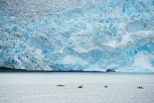 Glacier Cruise in Seward, Alaska.