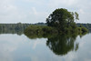 Třeboňsko, rybník Naděje, foto: Petr Nejedlý