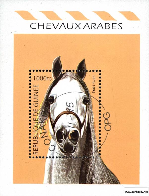Známky Guinea 1995 Arabské kone razítkovaný hárček