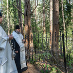 6 сентября 2022, Панихида у могилы архиепископа Иннокентия (Леоферова). Николо-Малицкое кладбище