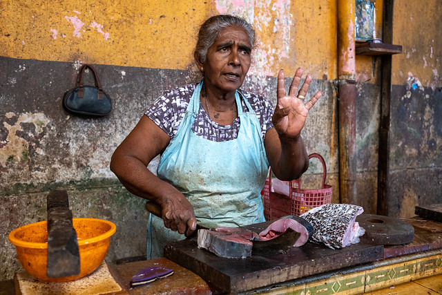 Sri Lanka, fish market in Negombo