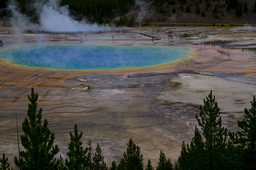 Vibrant Colors of Grand Prismatic Spring