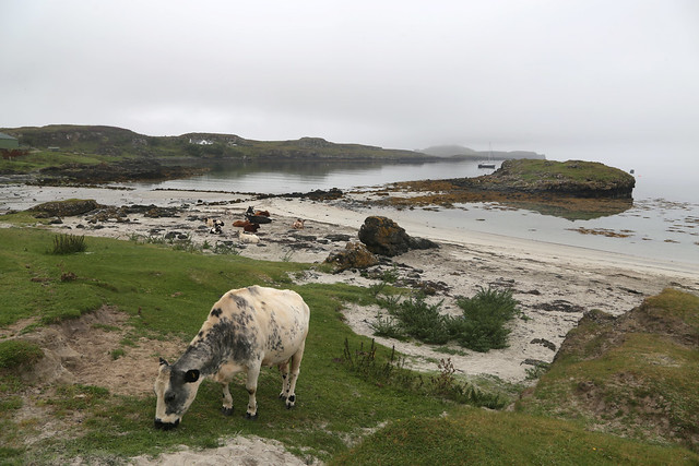 Coralag, Isle of Muck