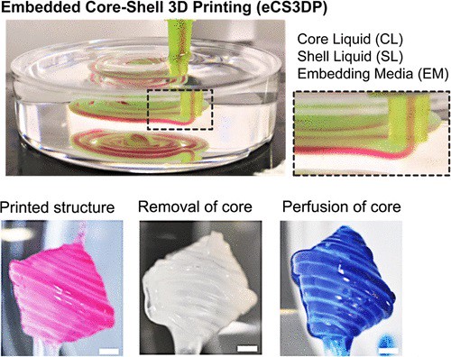 Paper on embedded core-shell printing published