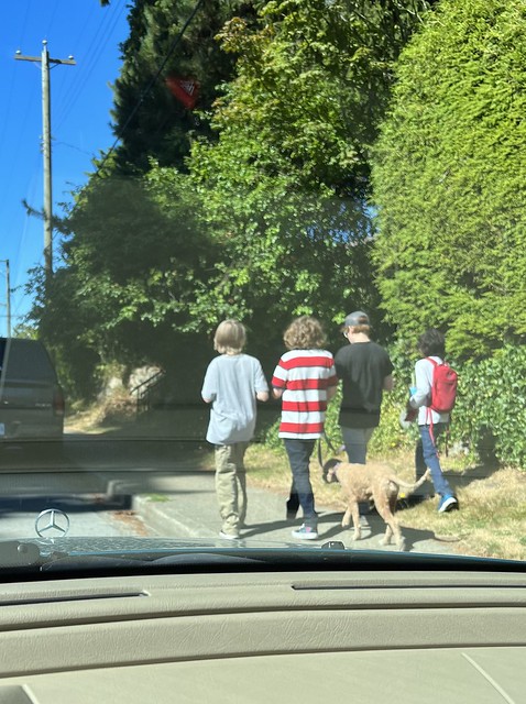 I Found Waldo!