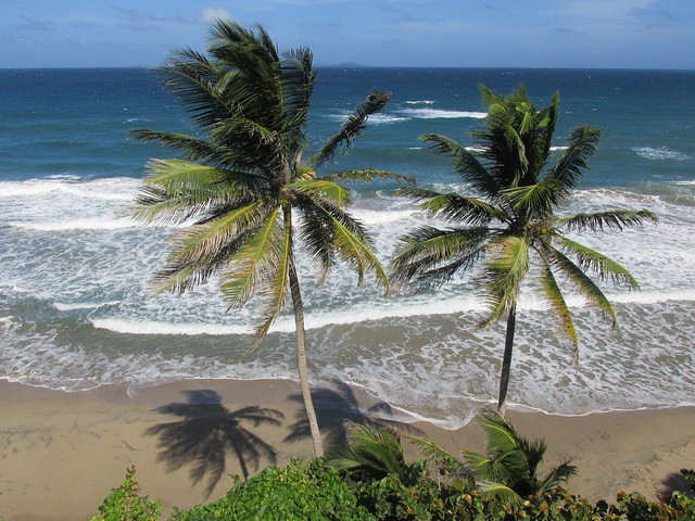 Tropical coastline of Grenada, Caribbean Islands