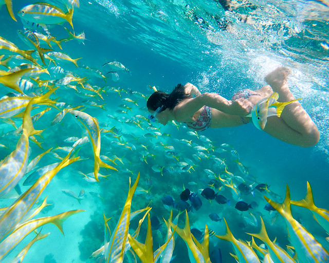 Mejor lugar de Cuba para hacer snorkel está en Cayo Largo