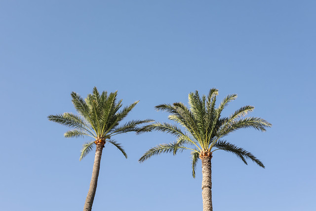 Two Palms, Lebanon