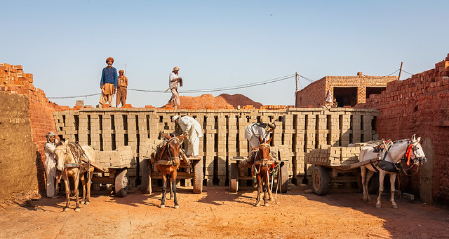Working equines in Pakistani brick kiln