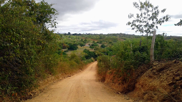 Estrada rural rodeada por alguns arbustos e matagal