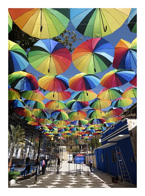 Umbrellas (On Explore Sept 9th, 2022)
