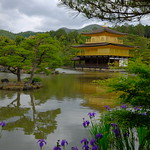 XE3F3490 - Kinkaku-ji - 金閣寺 - Pabellón de Oro - Golden Pavilion (Kioto - Kyoto - 京都)