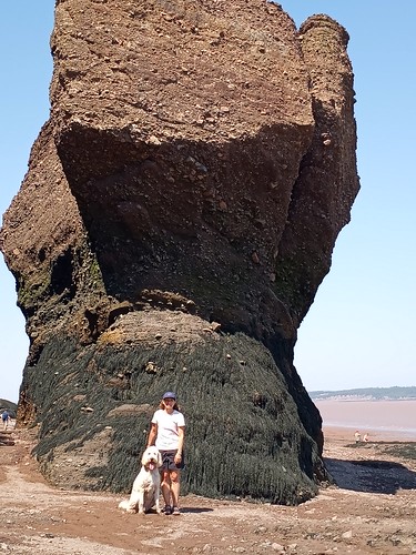 Hopewell Rocks Provincial Park at low tide. From Travel with Awe and Wonder: Getting to Newfoundland Part Two: Muddling Through