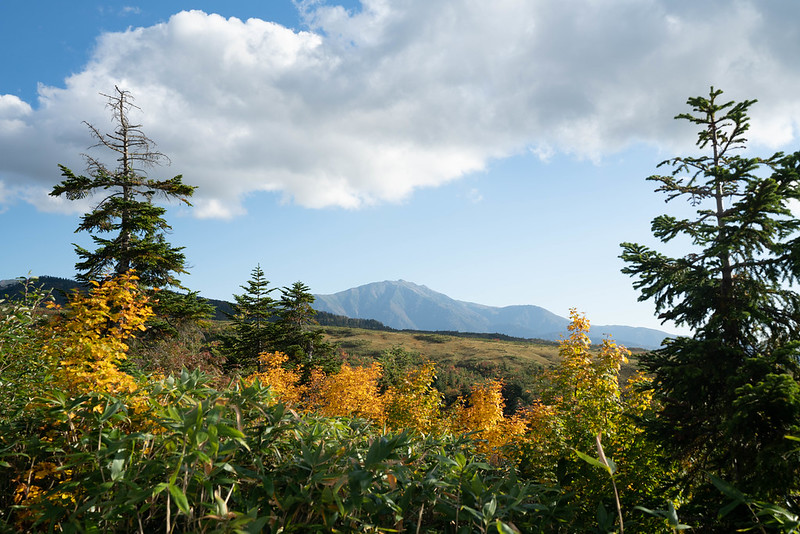 大日平山荘の紅葉