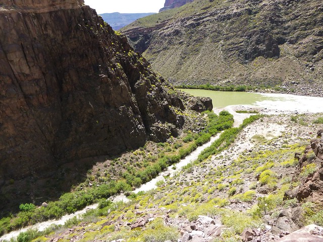 Tapeats Creek meets the Colorado River