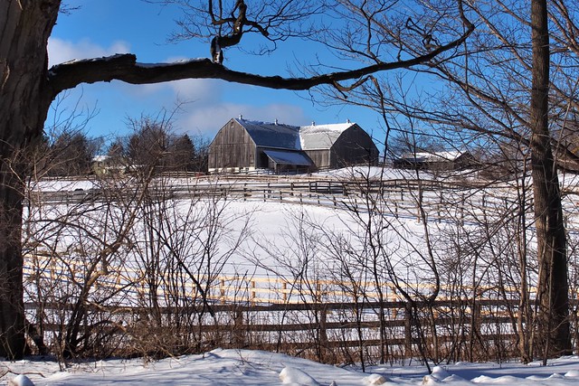 Winter farm scene, Inglewood, Caledon, Ontario.