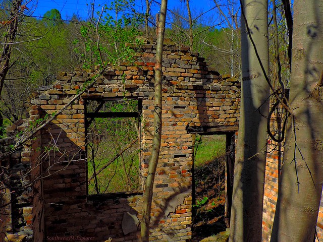 Woodland Ruins