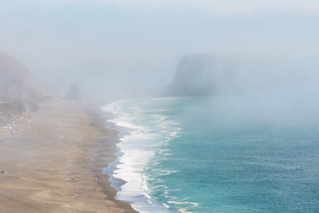 Goat Rock Beach with coastal fog, Sonoma County, California