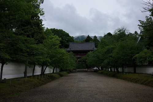 静かな京都をめぐる旅 8