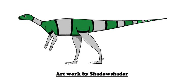 †Chromogisaurus novasi