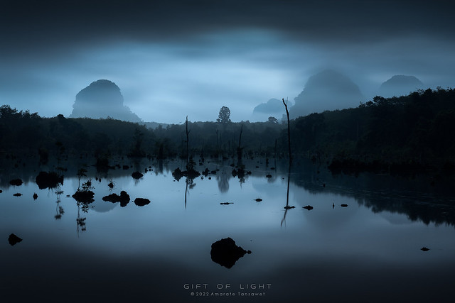 Dark Swamp
