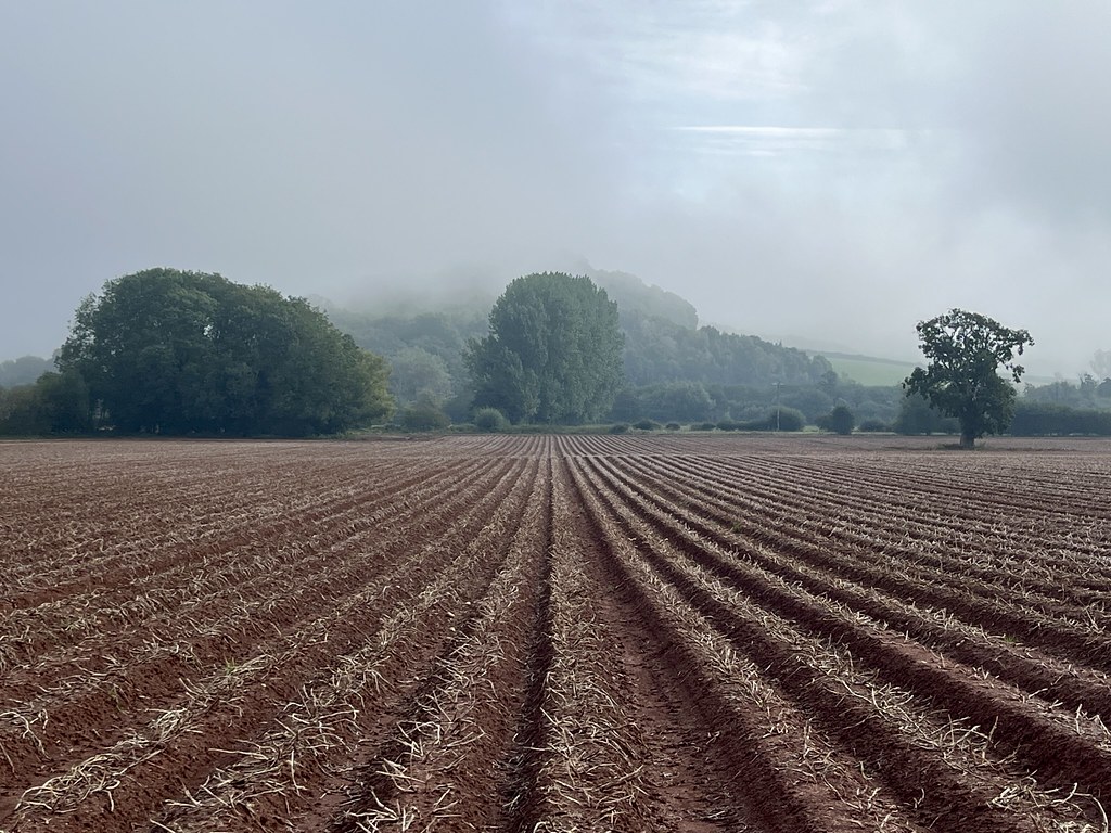 A photo looking across a ploughed field, the furrows leading away to a vanishing point straight ahead. At the far end of the field a tree-covered hill disappears up into a misty sky.