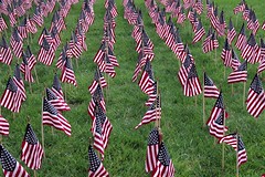 Small field of flags