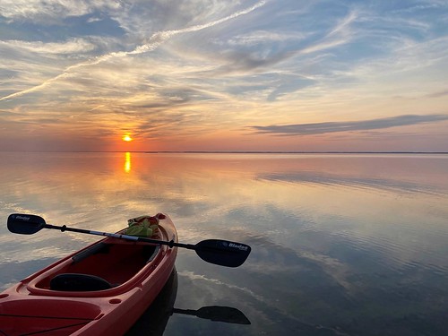 Kayaking the Sinepuxent Bay by Ann Rogers