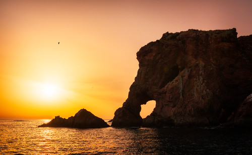 Berlengas elephant | Portugal by NicoTrinkhaus, The Berlengas Islands are located about 10 kilometers from Peniche in the Oeste region of Portugal.