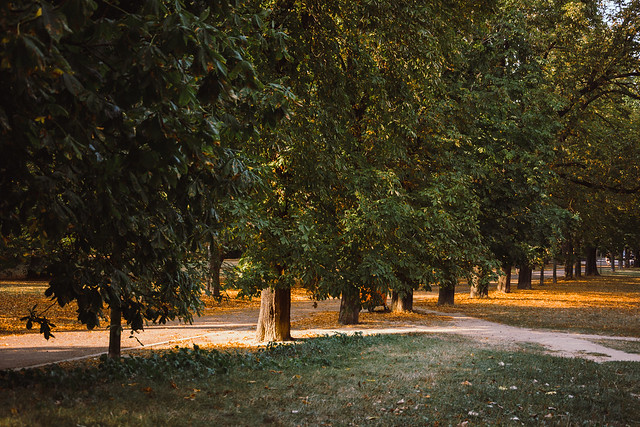 Herbstpark