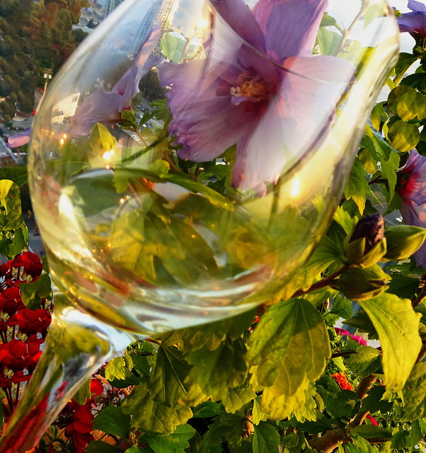 Wine with flowers