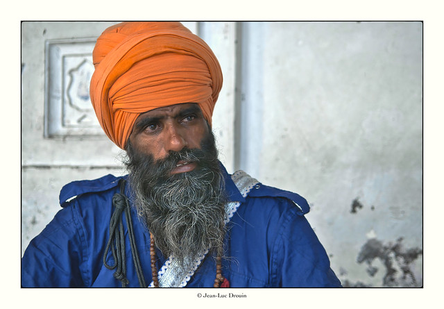 Les Nihangs, moines-guerriers sikhs