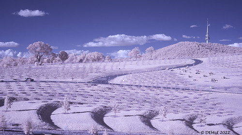 ricohgxra12irconversion infrared nationalarboretum canberra australia channelmixedwithgimp infraredfalsecolour