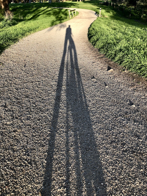 An Ordinary Looking Shadow