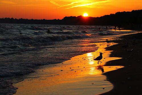 Sunset Beach by Darrell Colby " You Call The Shots ", Relax and let your mind caress the beautiful sights of Sunset Beach.
Pushing on that trigger is lik