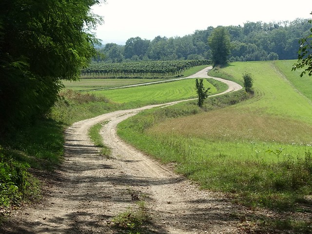 Weinwanderweg Wetzdorf
