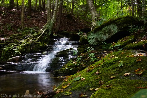 A waterfall on Cold Run, World's End State Park, Pennsylvania