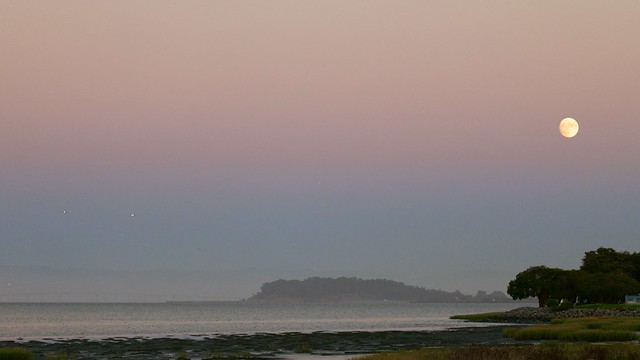 Moonrise over the South Bay from SFO Public Shoreline L1110161