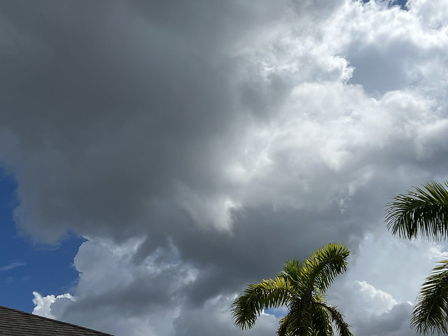 Another Dramatic Florida Sky IMG_5583