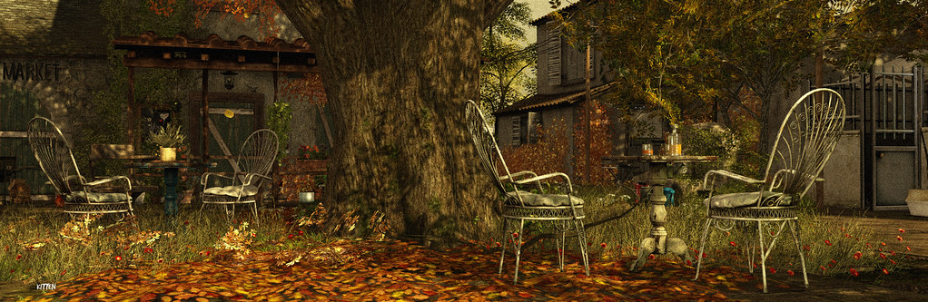 Frogmore Autumn Grove Photo Contest 2022 Entry 1 Joaannna Resident