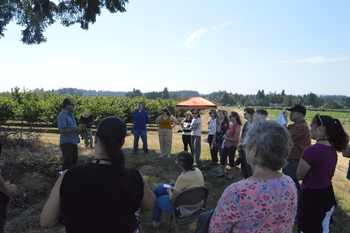 Journalists in the shade hearing about hazelnuts at NWREC