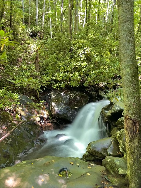 Waterfalls at Smokey Mountains National Park