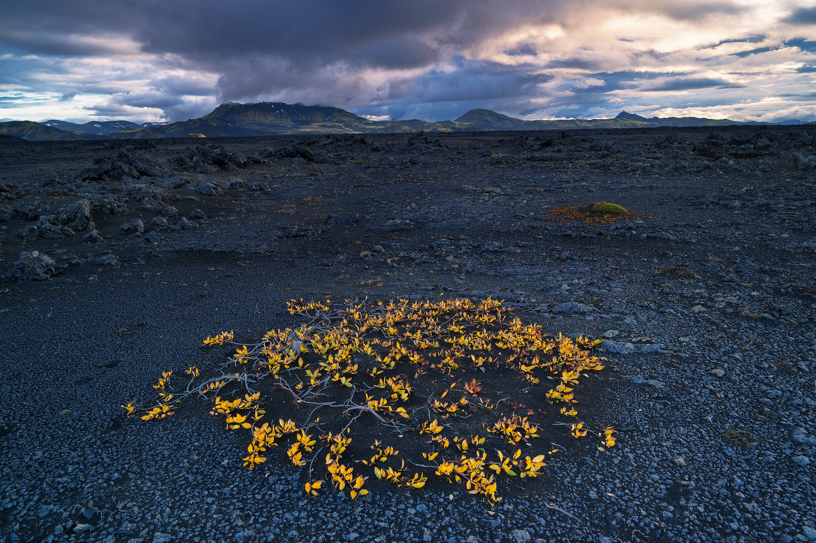 Yellow circle - Landmannalaugar