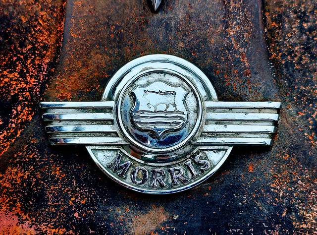 Morris bonnet badge