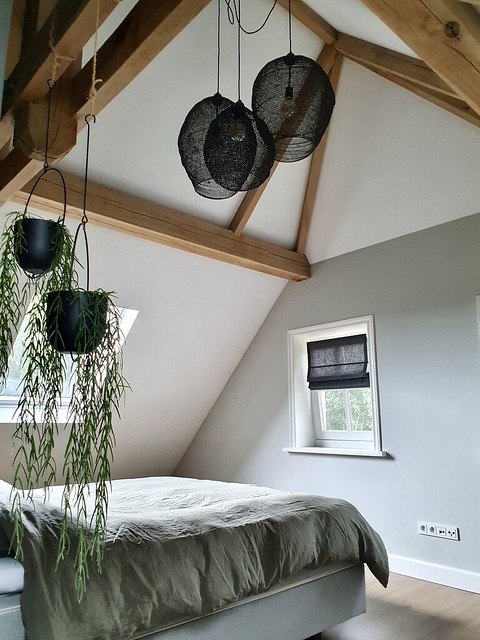 Slaapkamer balkenplafond zwarte draadlampen plafond hangplanten zwart transparant vouwgordijn