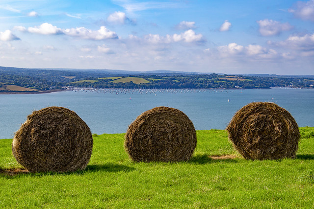 Bales with a view