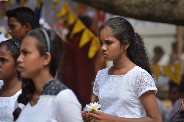 Jeune femme en pèlerinage au Temple d’Anuradhapura